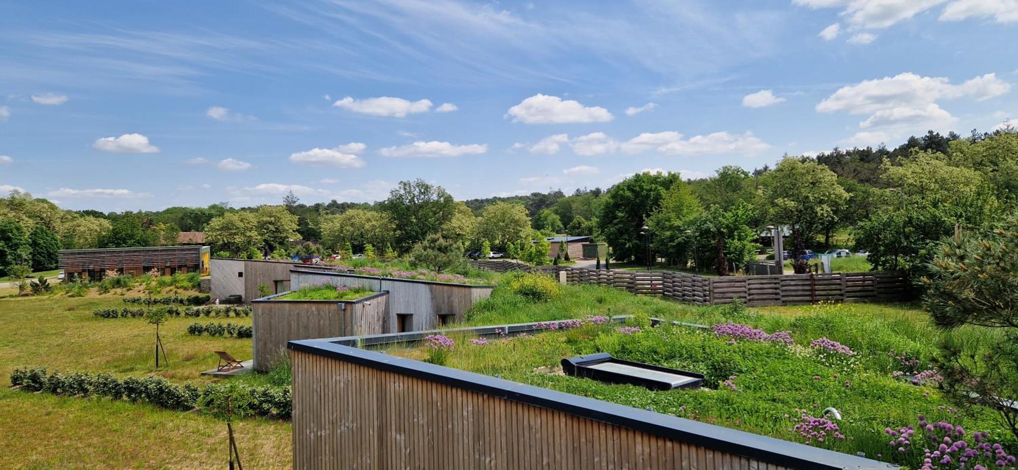 Domaine De L'Epau Eco-Resort Yvré-lʼÉvêque Kültér fotó